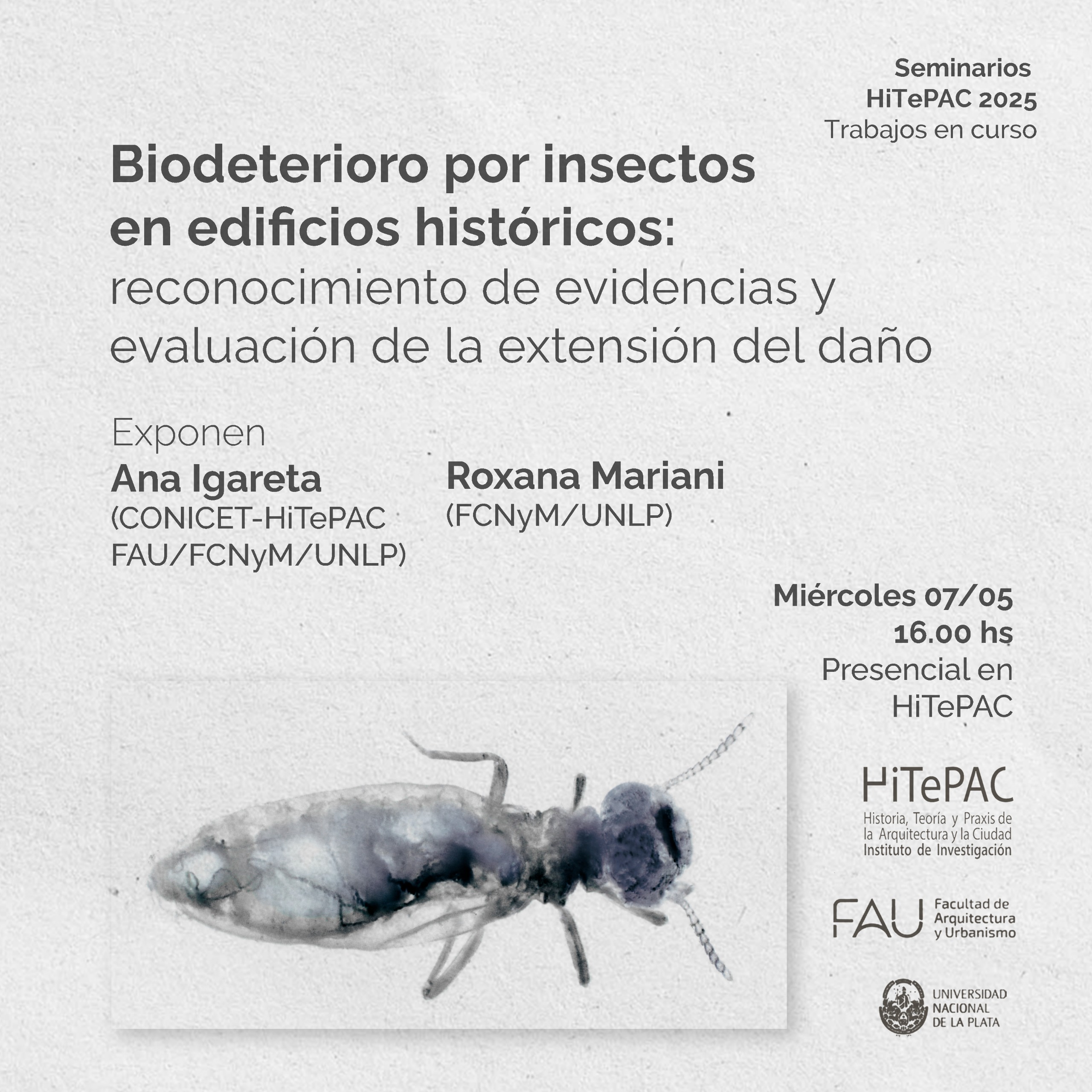 Lee más sobre el artículo Seminarios abiertos HiTePAC 2025. Biodeterioro por insectos en edificios históricos: reconocimiento de evidencias y   evaluación de la extensión del daño.